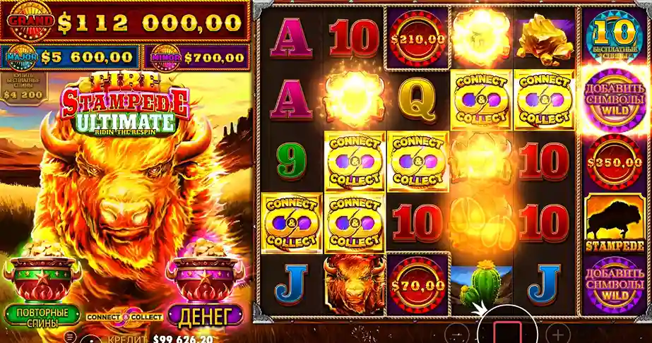 أين تلعب Fire Stampede